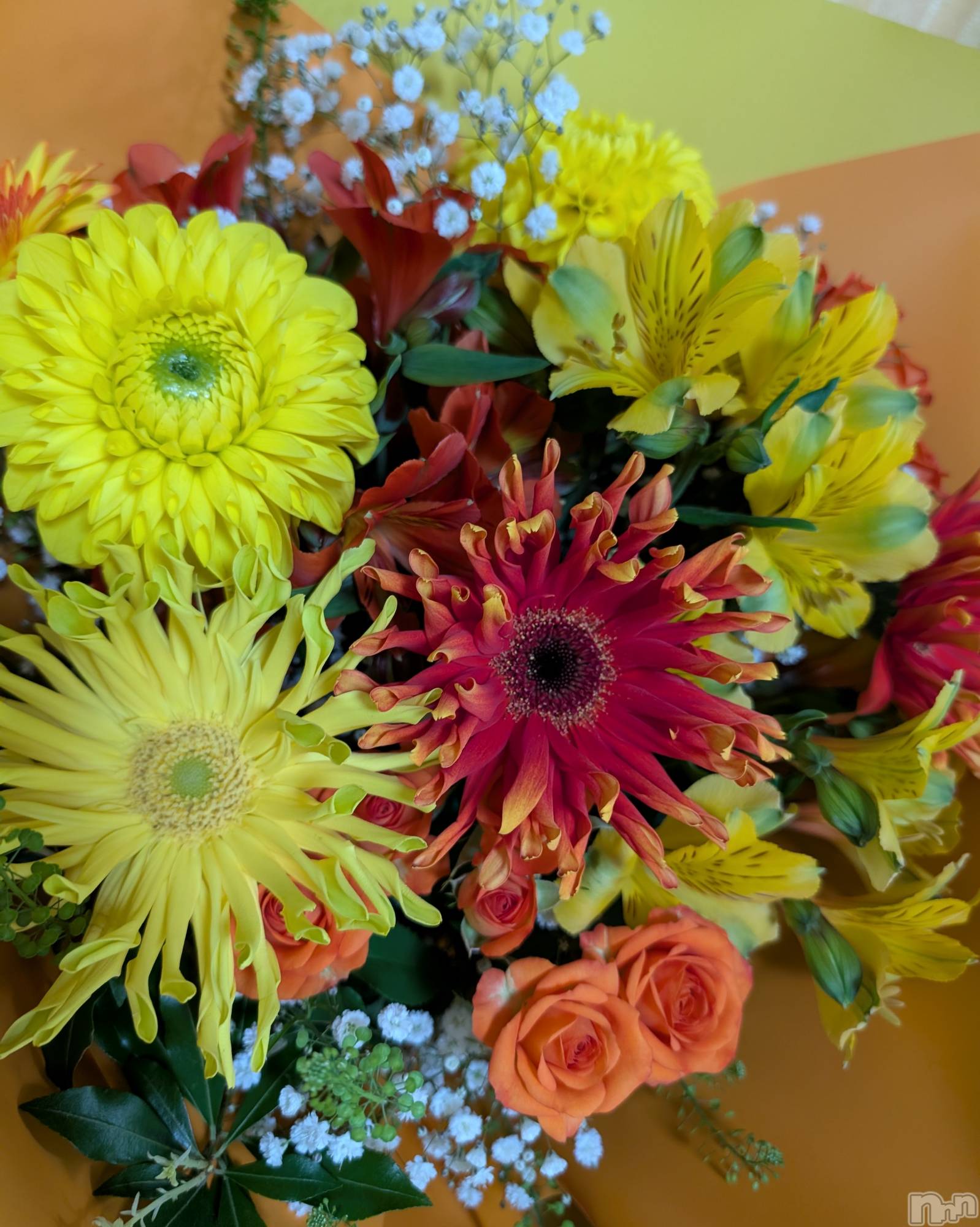 ʥå륺СSnack amie(ʥå ) 2025ǯ513ֲ̥֥«💐🧡