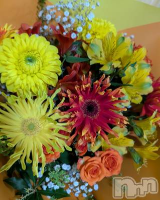 ʥå륺СSnack amie(ʥå ) ͮ(25)513ֲ̥֥«💐🧡