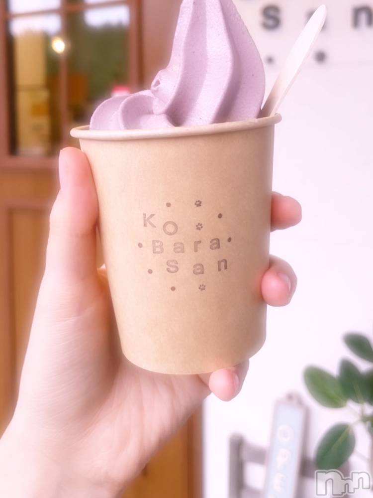 ĮХ顦֥ ץ ( ץ ) ꡡʤʤ103̥֥103 1549ʬΥ֥