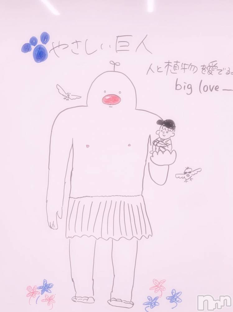 ĮХ顦֥ ץ ( ץ ) ꡡʤʤ128̥֥128 1901ʬΥ֥