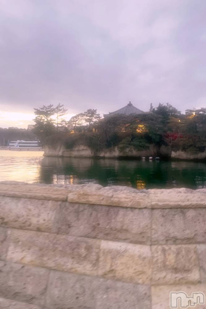 ĮХ顦֥ ץ ( ץ ) ꡡʤʤ1228̥֥1228 1959ʬΥ֥