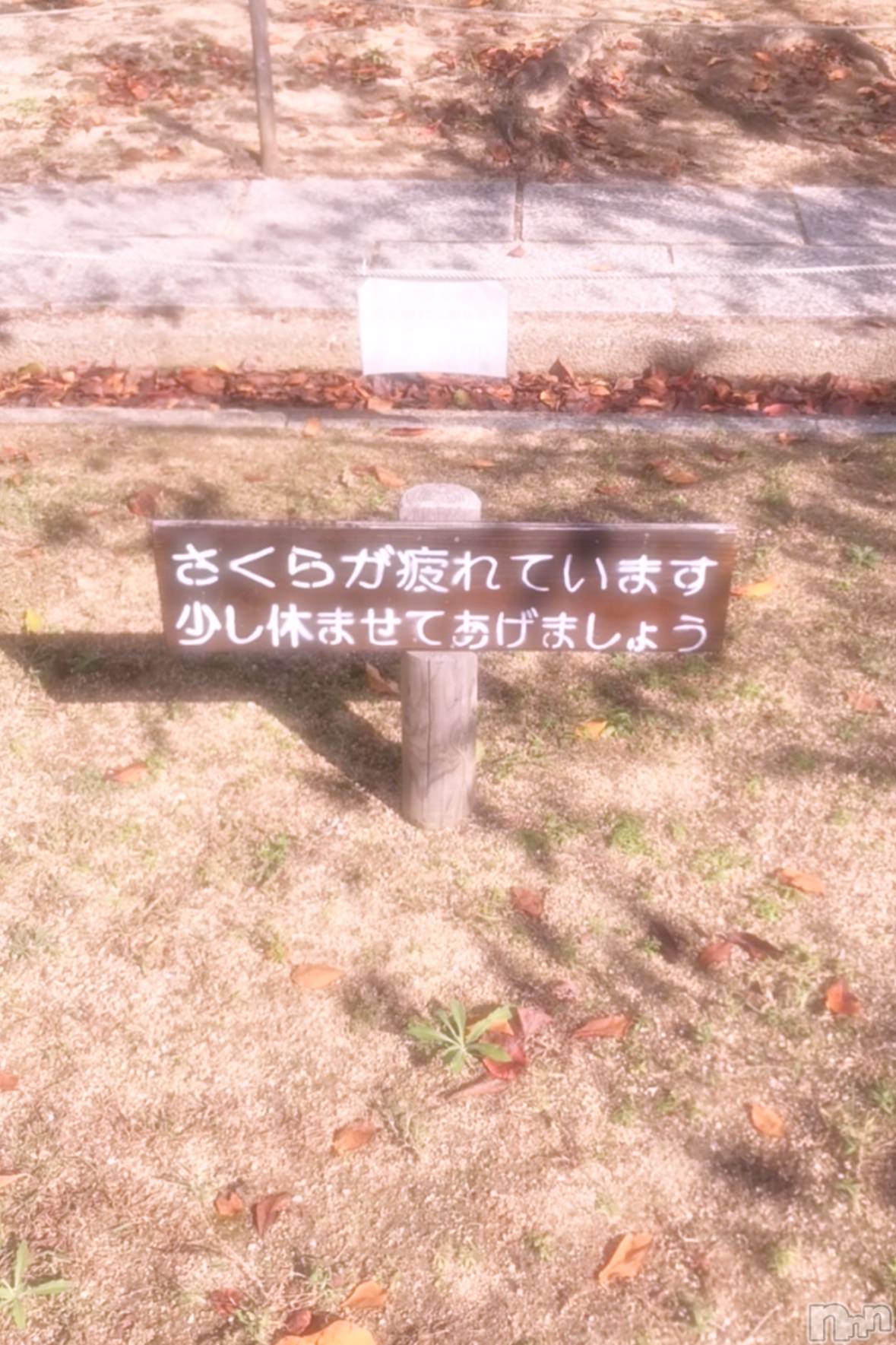 ĮХ顦֥ ץ ( ץ ) 2024ǯ1012̥֥1012 2043ʬΥ֥