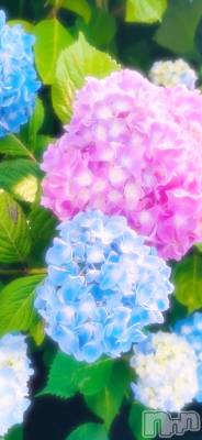 ĮХ顦֥ ץ ( ץ ) ꡡʤ(18)731̥֥731 2107ʬΥ֥