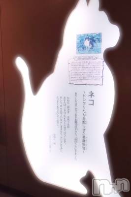 ĮХ顦֥ ץ ( ץ ) ꡡʤ(18)1013̥֥1013 2003ʬΥ֥