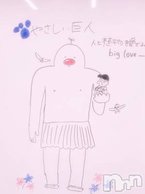 ĮХ顦֥ ץ ( ץ ) ꡡʤ(18)128̥֥128 1901ʬΥ֥