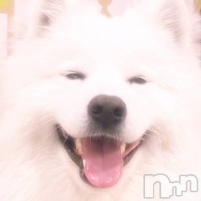 ĮХ顦֥ ץ ( ץ ) ꡡʤ(18)329̥֥329 1619ʬΥ֥