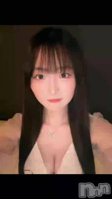 619 2004ʬΥ֥