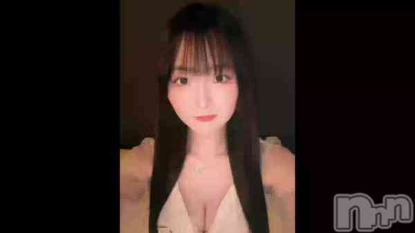 619 2004ʬΥ֥