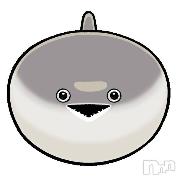 ����� �ץ���� ���� ��ꡡ�ʤ�(18)