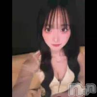 828 1949ʬΥ֥