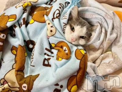 上越デリヘル HONEY(ハニー) みずほ(♪♪)(32)の1月11日写メブログ「3日目よろしくお願いします❣️」