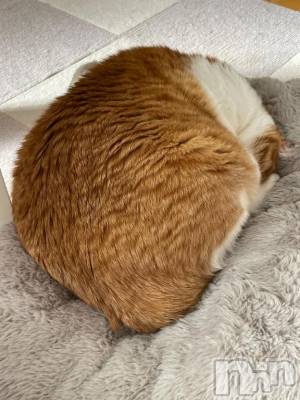 上越デリヘル HONEY(ハニー) みずほ(♪♪)(32)の1月30日写メブログ「2日目よろしくねーっ✌️」