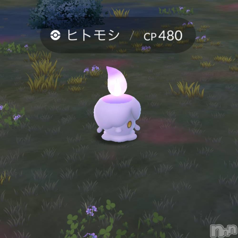 ��ˬ����Х��顦����֥���� �ץ���� ��ˬ(����� �ץ���� ����) �̰� �椤��5��23���̥�֥����֥ݥ����GO��