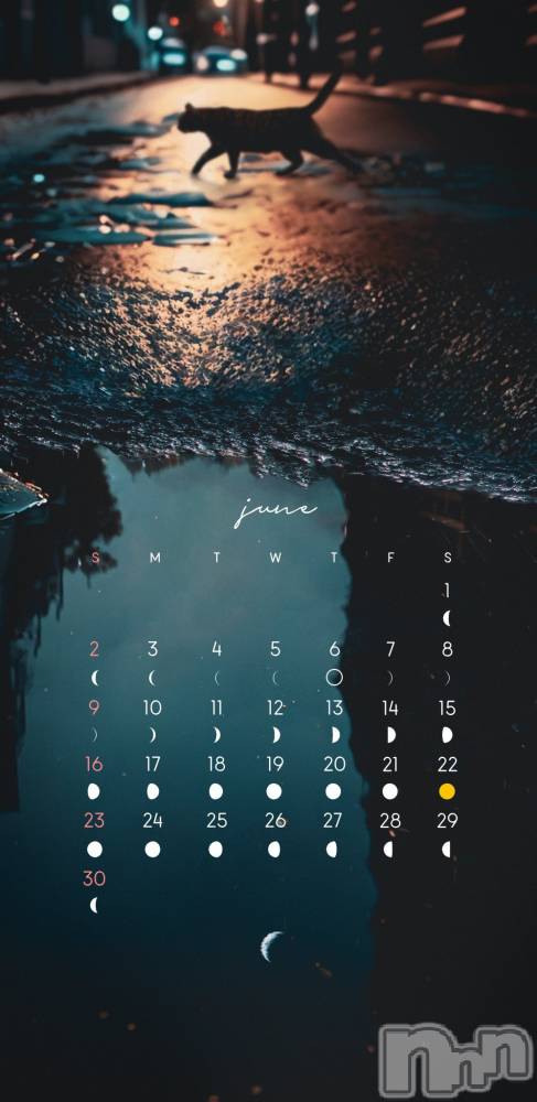 ��ˬ����Х��顦����֥���� �ץ���� ��ˬ(����� �ץ���� ����) �̰� �椤��6��1���̥�֥�����6������������ꤤ���ޤ�����