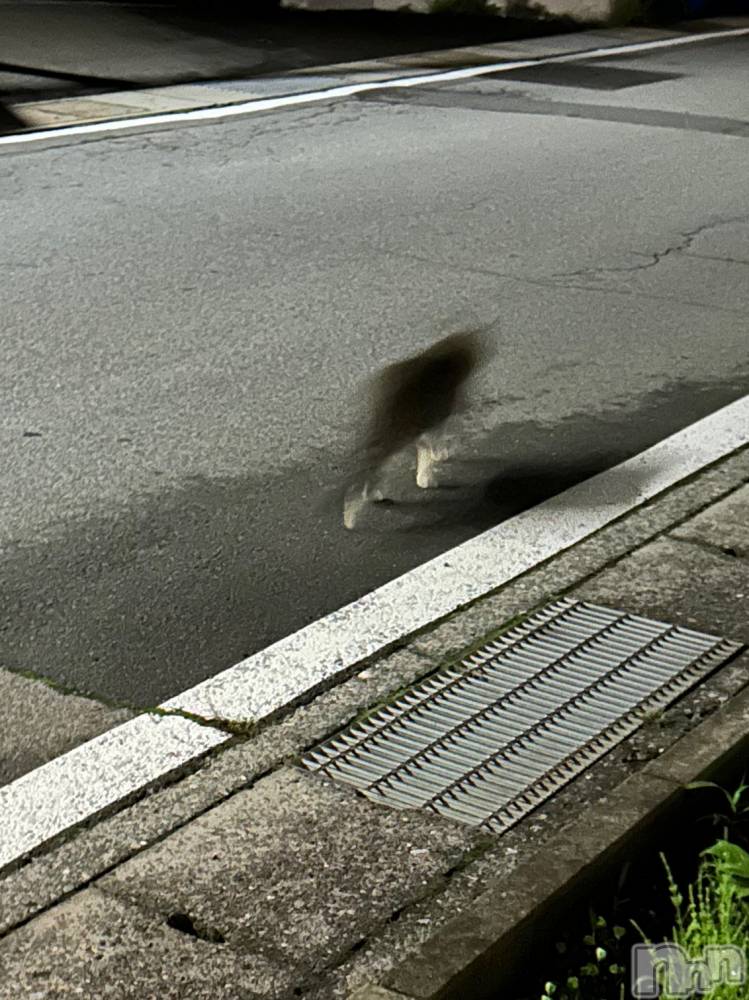 ��ˬ����Х��顦����֥���� �ץ���� ��ˬ(����� �ץ���� ����) �̰� �椤��6��6���̥�֥����֤��䤹�ߤʤ�����