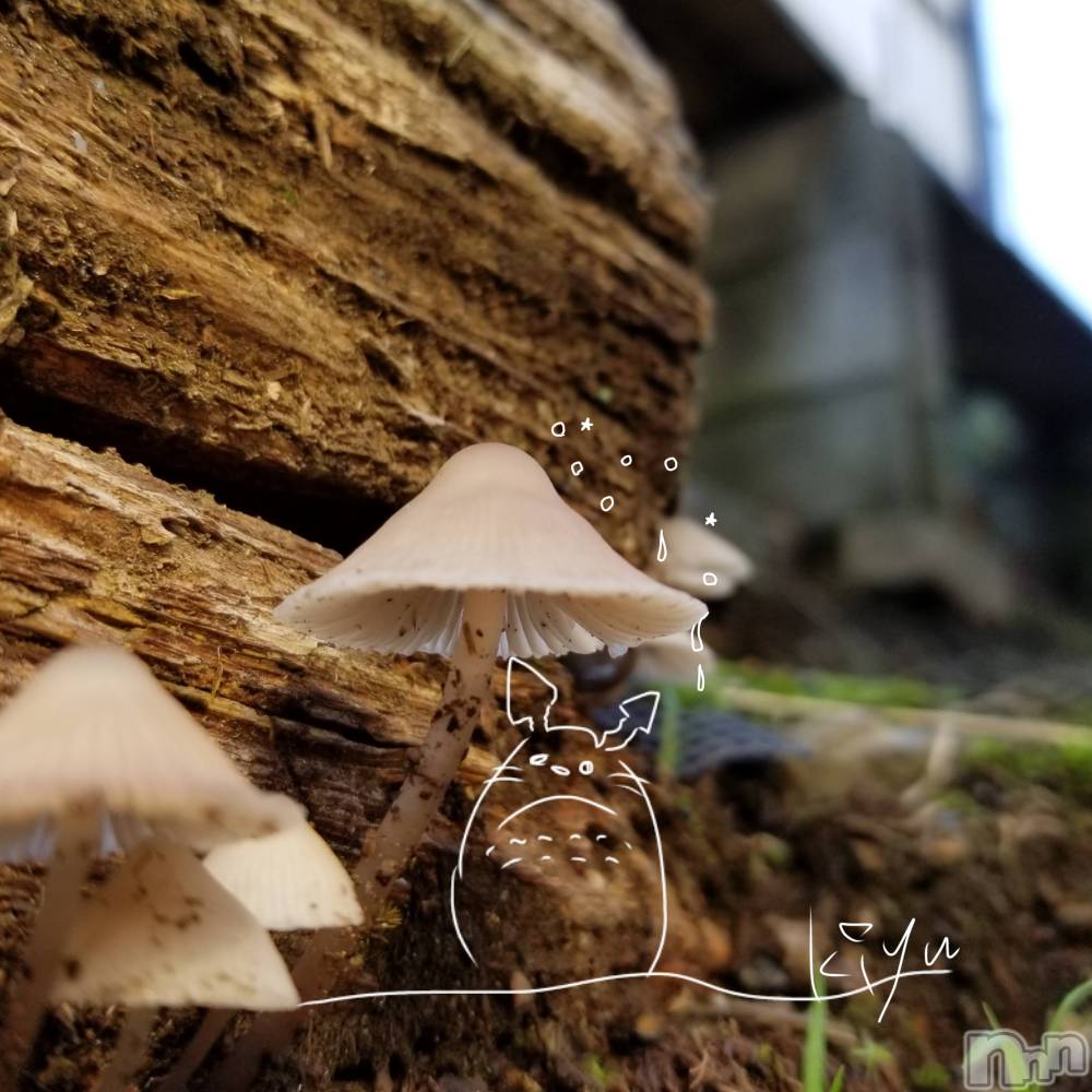 ��ˬ����Х��顦����֥���� �ץ���� ��ˬ(����� �ץ���� ����) �̰� �椤��6��6���̥�֥�����6��6�� 19��54ʬ�Υ֥�����