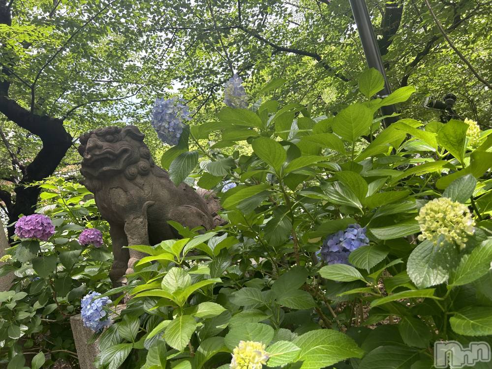 ��ˬ����Х��顦����֥���� �ץ���� ��ˬ(����� �ץ���� ����) �̰� �椤��6��13���̥�֥�����💠🌿‬ ܸ��