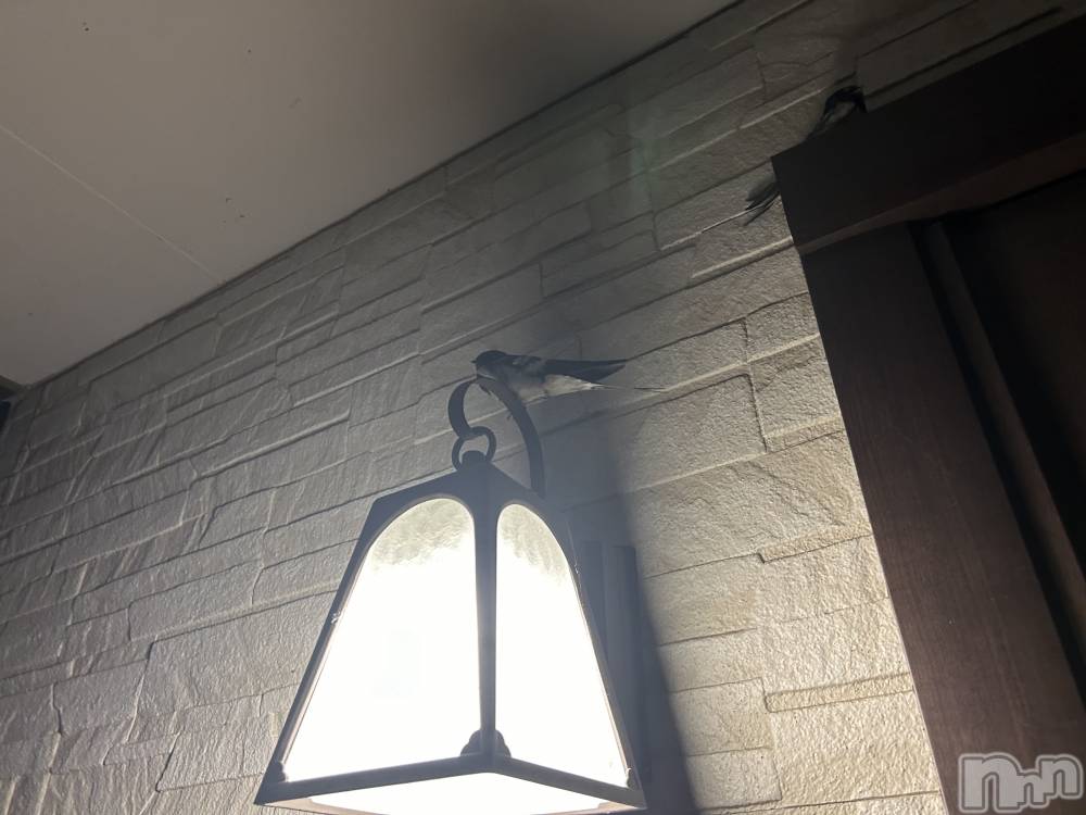 ��ˬ����Х��顦����֥���� �ץ���� ��ˬ(����� �ץ���� ����) �̰� �椤��6��21���̥�֥�����☾⋆·̩͙⑅*��