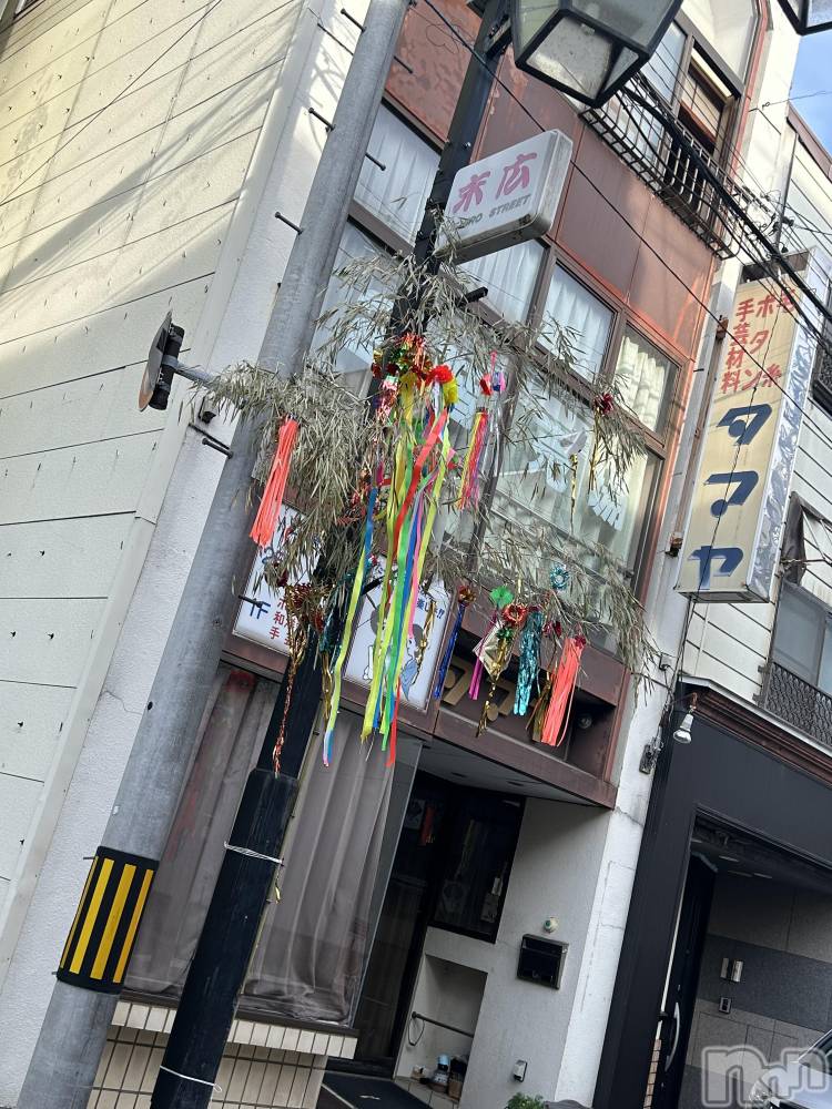 ��ˬ����Х��顦����֥���� �ץ���� ��ˬ(����� �ץ���� ����) �̰� �椤��7��8���̥�֥�����🎋✩.*�����