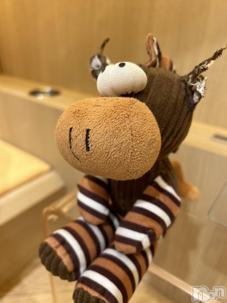 ��ˬ����Х��顦����֥���� �ץ���� ��ˬ(����� �ץ���� ����) �̰� �椤��8��14���̥�֥�����꒰ᐡ֊ ‧̫ ֊ᐡ꒱��