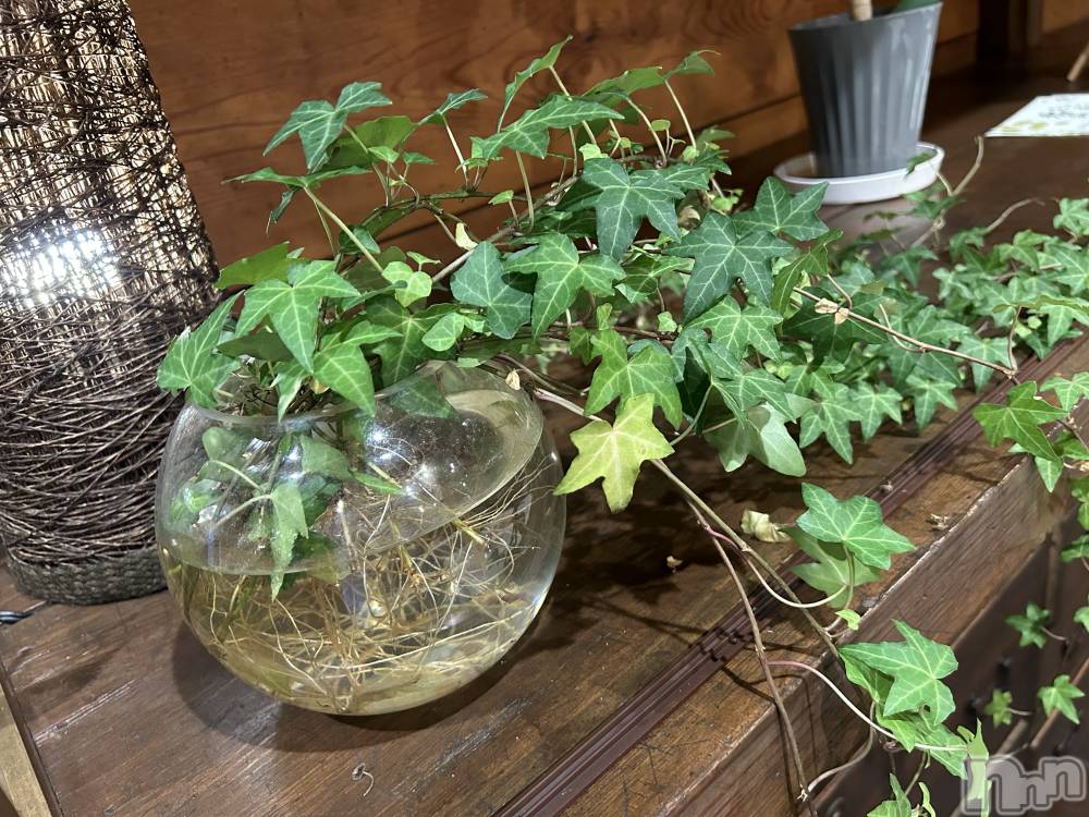 ��ˬ����Х��顦����֥���� �ץ���� ��ˬ(����� �ץ���� ����) �̰� �椤��8��13���̥�֥������������䤹�ߡ�