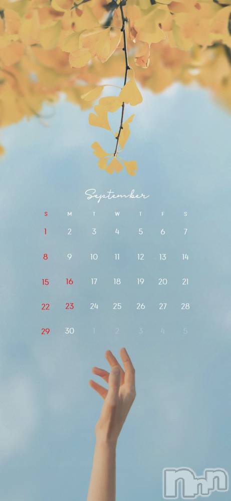 ��ˬ����Х��顦����֥���� �ץ���� ��ˬ(����� �ץ���� ����) �̰� �椤��9��3���̥�֥�����9��Ǥ��͡���