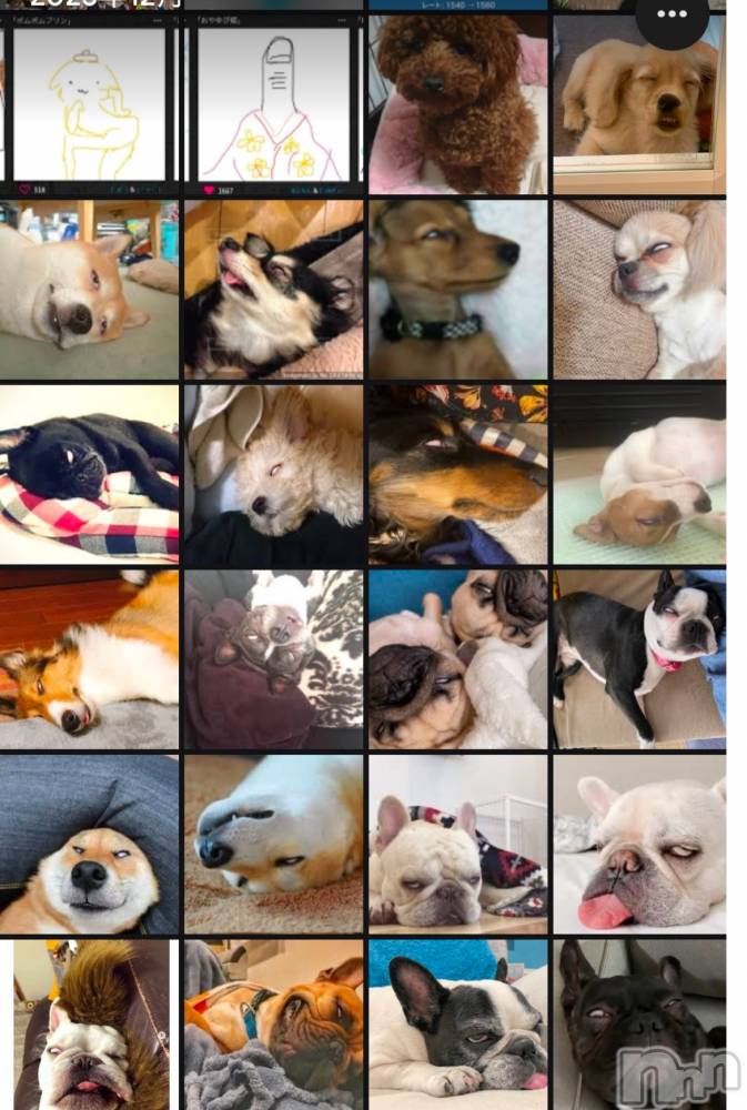 ��ˬ����Х��顦����֥���� �ץ���� ��ˬ(����� �ץ���� ����) �̰� �椤��1��8���̥�֥�����⛄❄��