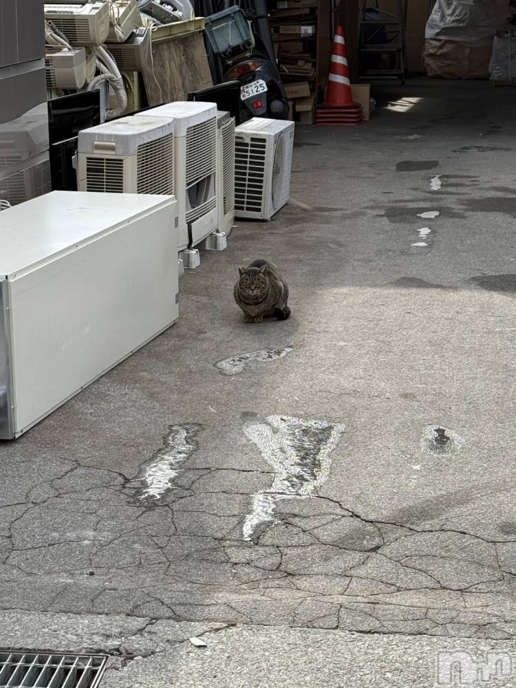 ��ˬ����Х��顦����֥���� �ץ���� ��ˬ(����� �ץ���� ����) �̰� �椤��2��12���̥�֥�����^_  ̫_^��