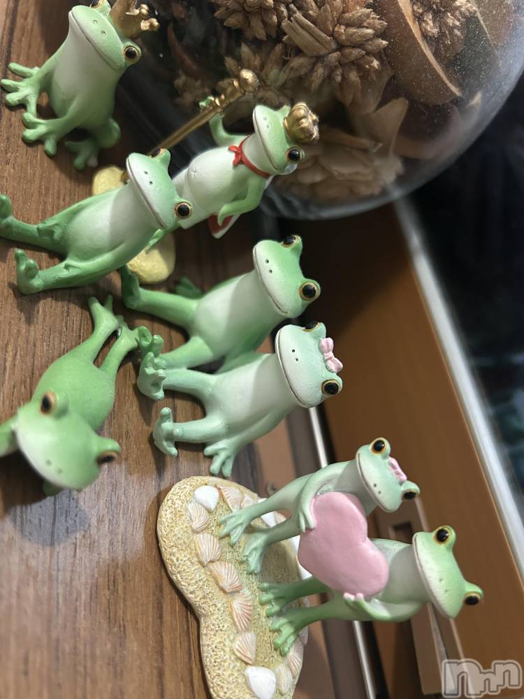 ��ˬ����Х��顦����֥���� �ץ���� ��ˬ(����� �ץ���� ����) �̰� �椤��5��19���̥�֥�����🐸⸝⸝꙳��