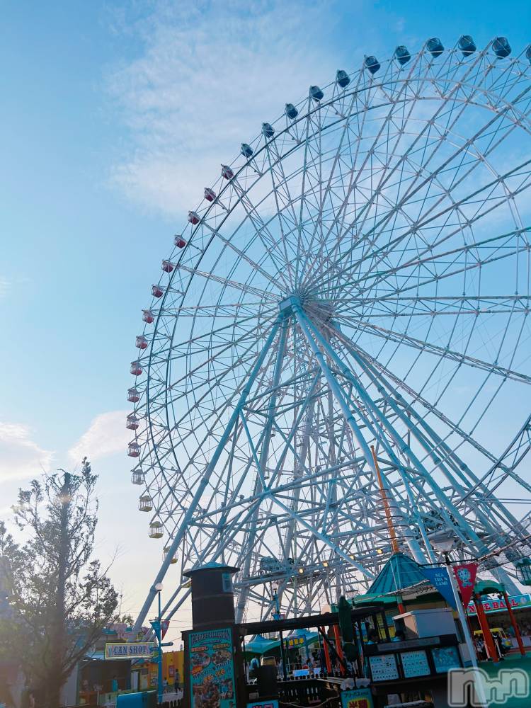 ��ˬ����Х��顦����֥���� �ץ���� ��ˬ(����� �ץ���� ����) �̰� �椤��6��6���̥�֥�����🎡��