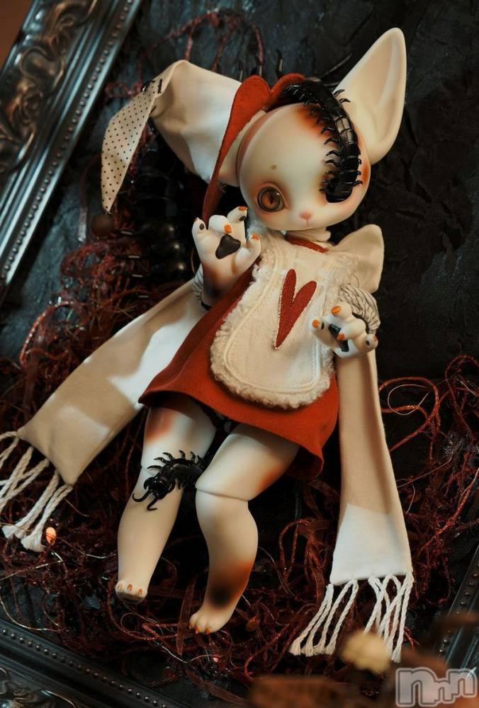 ��ˬ����Х��顦����֥���� �ץ���� ��ˬ(����� �ץ���� ����) �̰� �椤��6��16���̥�֥�����DOLL��