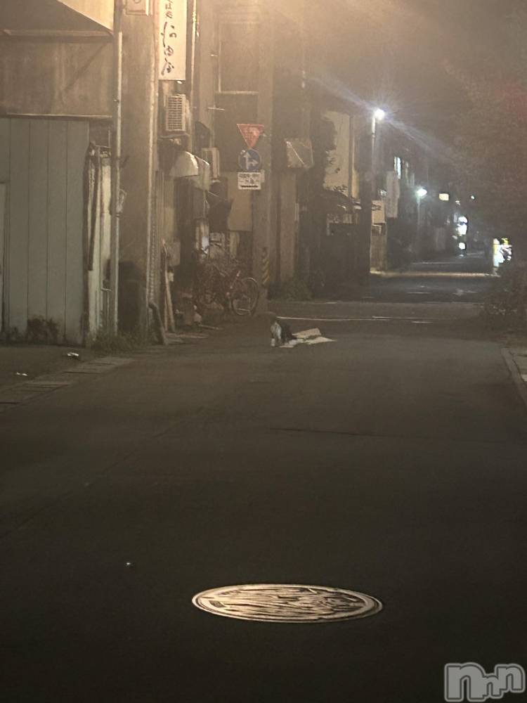 ��ˬ����Х��顦����֥���� �ץ���� ��ˬ(����� �ץ���� ����) �̰� �椤��9��22���̥�֥�����^._.^��