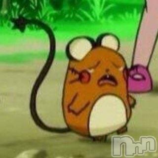 ��ˬ����Х��顦����֥���� �ץ���� ��ˬ(����� �ץ���� ����) �̰� �椤��10��20���̥�֥����֤ǤǤ�͡�