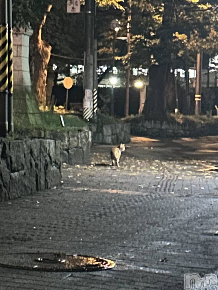 ��ˬ����Х��顦����֥���� �ץ���� ��ˬ(����� �ץ���� ����) �̰� �椤��10��21���̥�֥�����😖🍃��