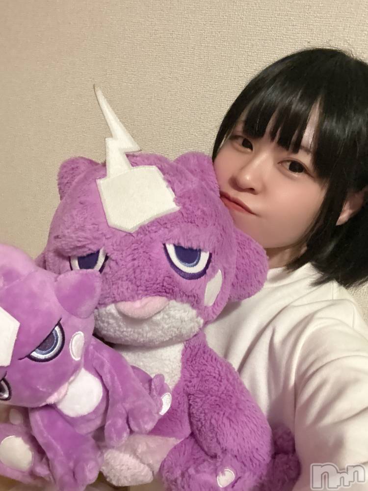 ��ˬ����Х��顦����֥���� �ץ���� ��ˬ(����� �ץ���� ����) �̰� �椤��12��5���̥�֥����֤��󤺡����