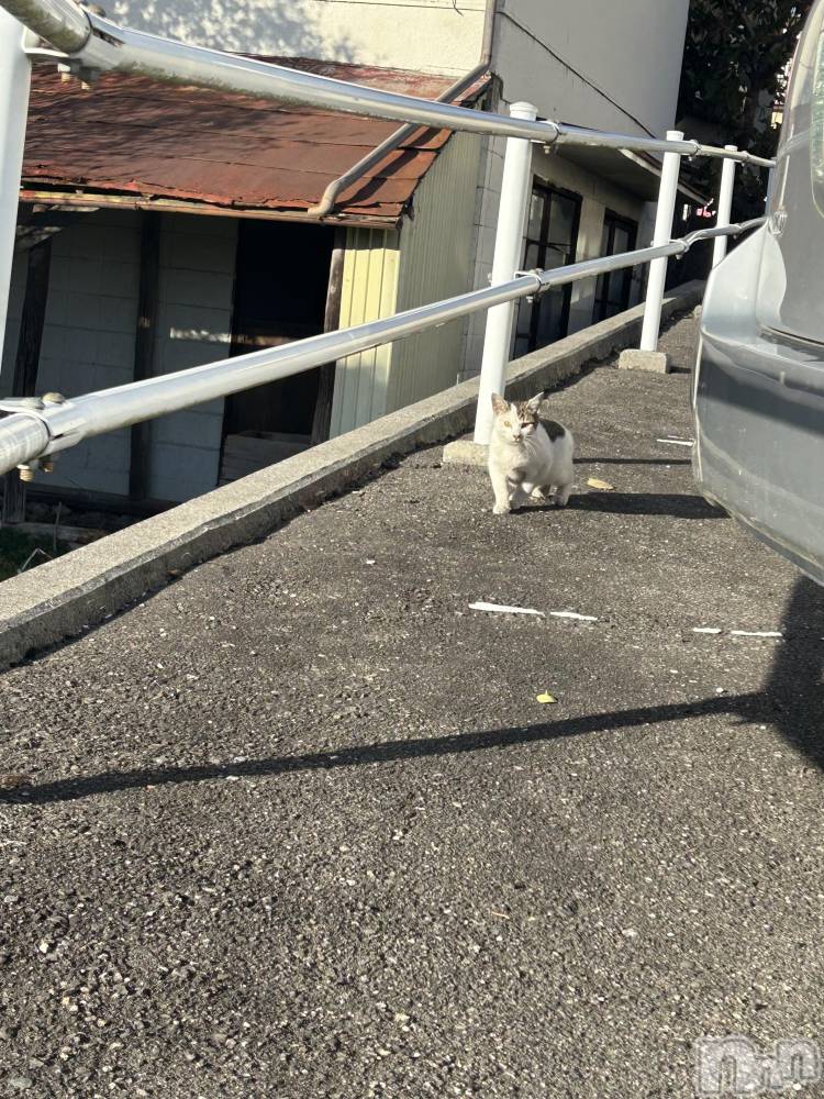 ��ˬ����Х��顦����֥���� �ץ���� ��ˬ(����� �ץ���� ����) �̰� �椤��12��12���̥�֥�����12��12�� 20��36ʬ�Υ֥�����