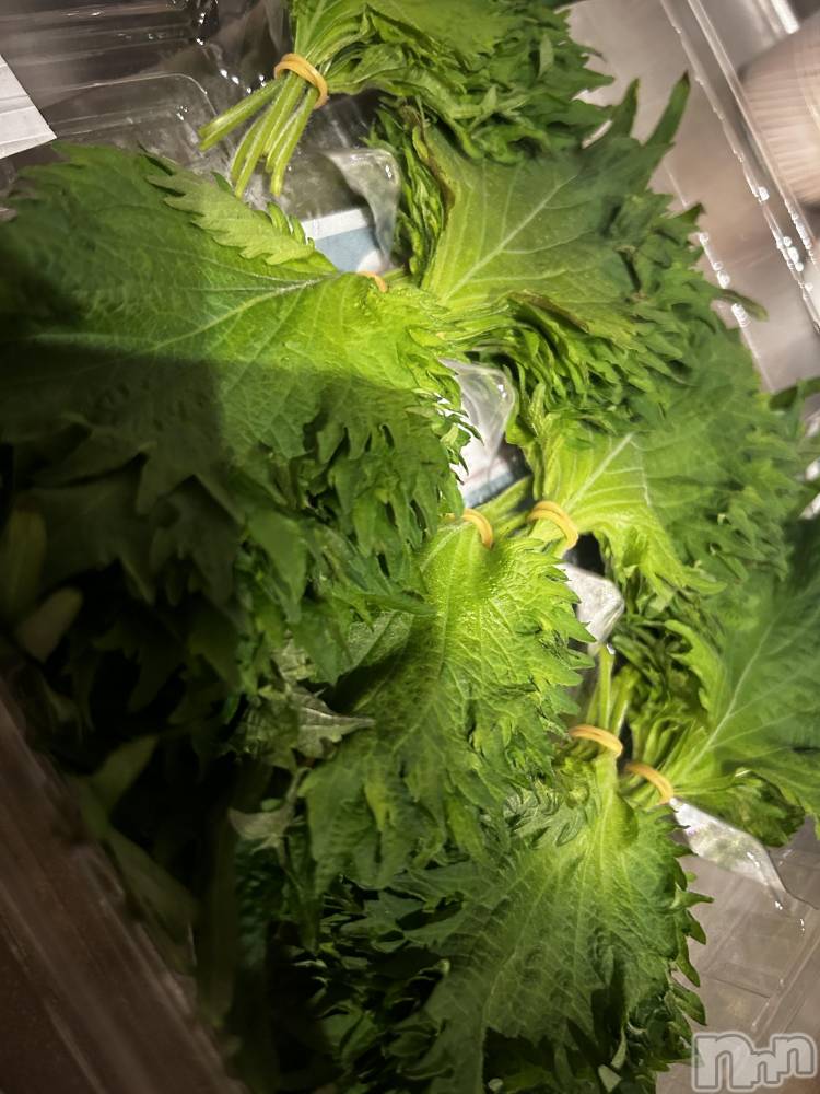 ��ˬ����Х��顦����֥���� �ץ���� ��ˬ(����� �ץ���� ����) �̰� �椤��2��11���̥�֥��������դ��������󡪡�����