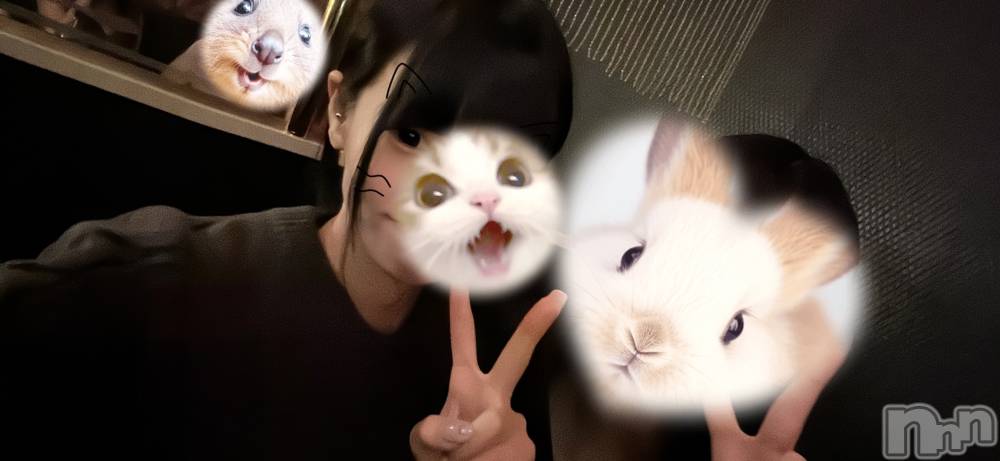 ��ˬ����Х��顦����֥���� �ץ���� ��ˬ(����� �ץ���� ����) �̰� �椤��4��16���̥�֥����ֺ����ν����💭��