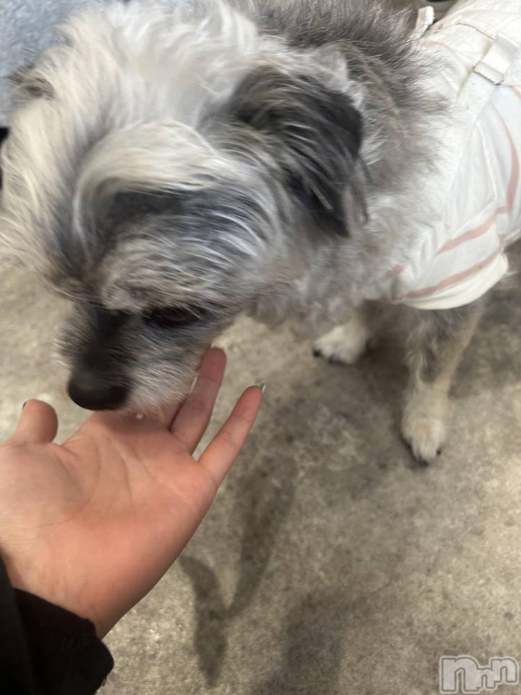 ��ˬ����Х��顦����֥���� �ץ���� ��ˬ(����� �ץ���� ����) �̰� �椤��4��21���̥�֥����֤�󤳡�