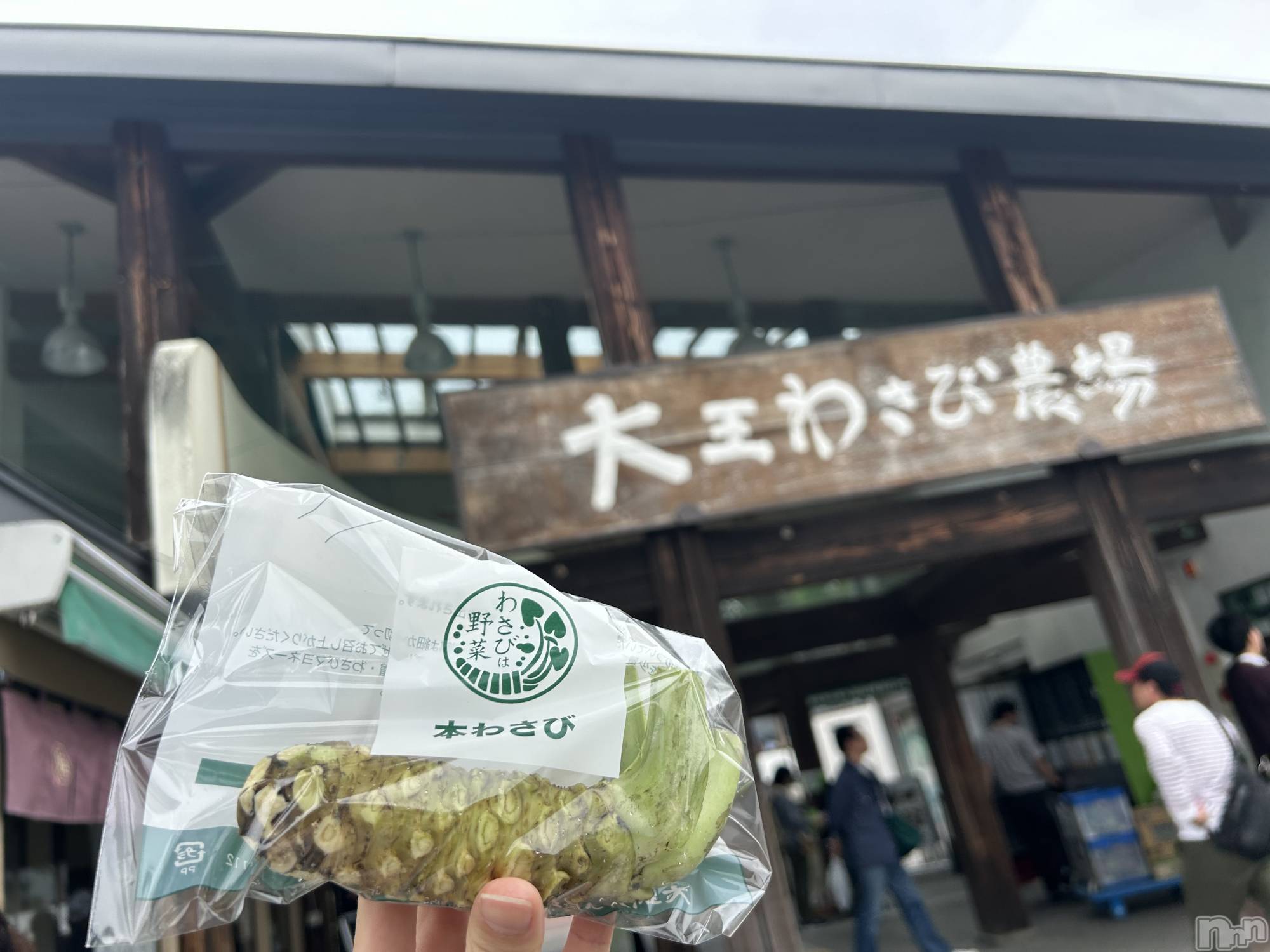 ��ˬ����Х��顦����֥���� �ץ���� ��ˬ(����� �ץ���� ����) ��2024ǯ5��23���̥�֥����֤蘆�ӡ�