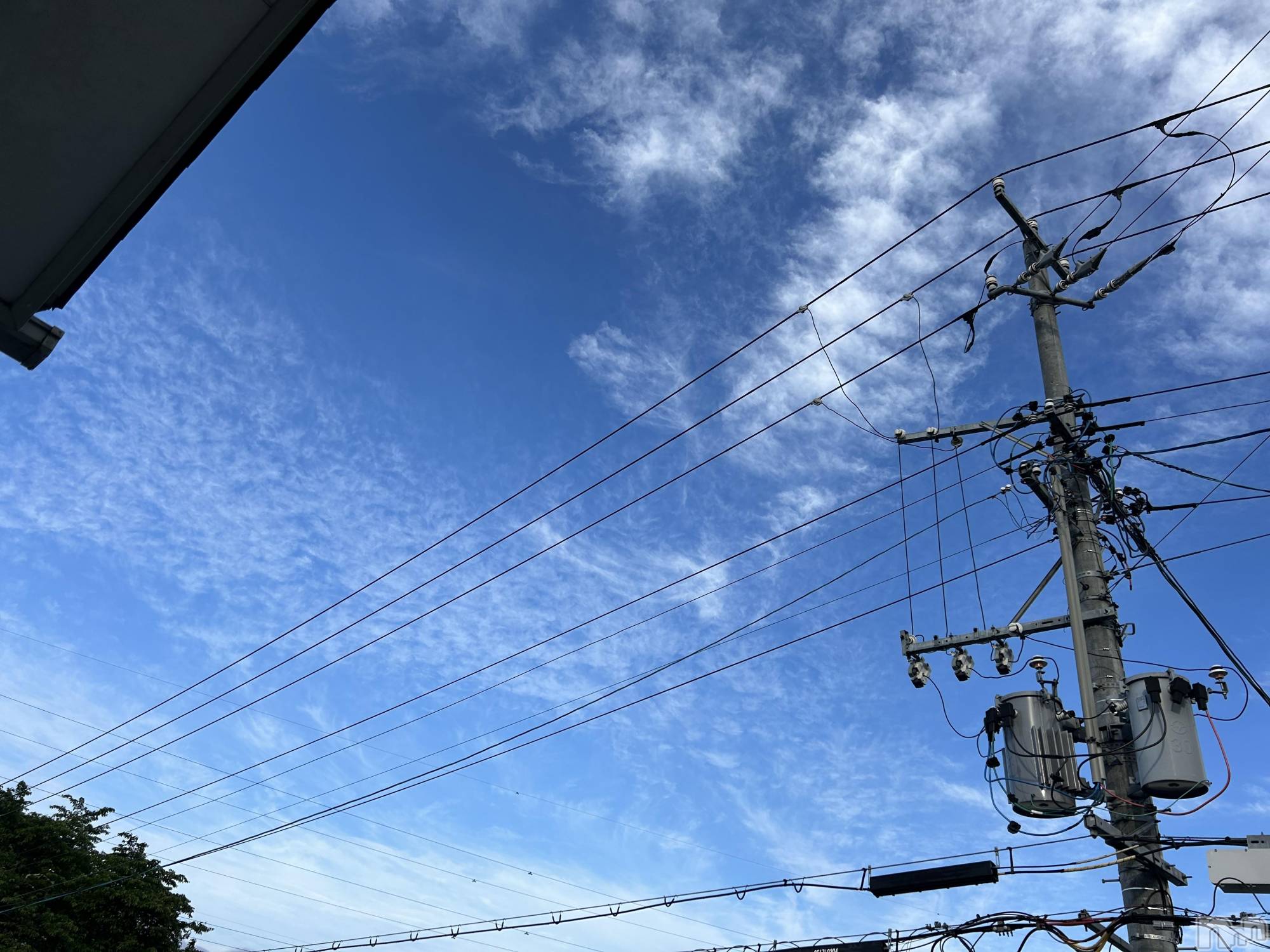 ��ˬ����Х��顦����֥���� �ץ���� ��ˬ(����� �ץ���� ����) ��2024ǯ6��1���̥�֥���������☀️�����