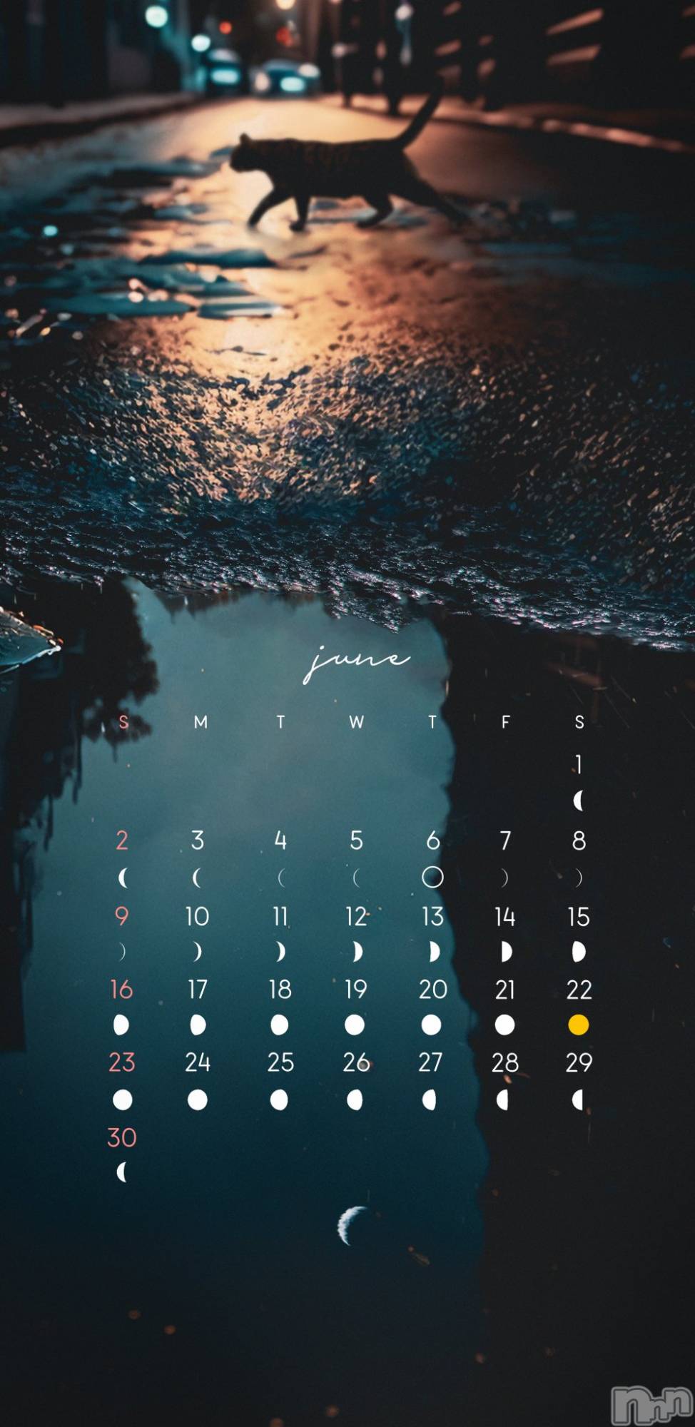 ��ˬ����Х��顦����֥���� �ץ���� ��ˬ(����� �ץ���� ����) ��2024ǯ6��1���̥�֥�����6������������ꤤ���ޤ�����