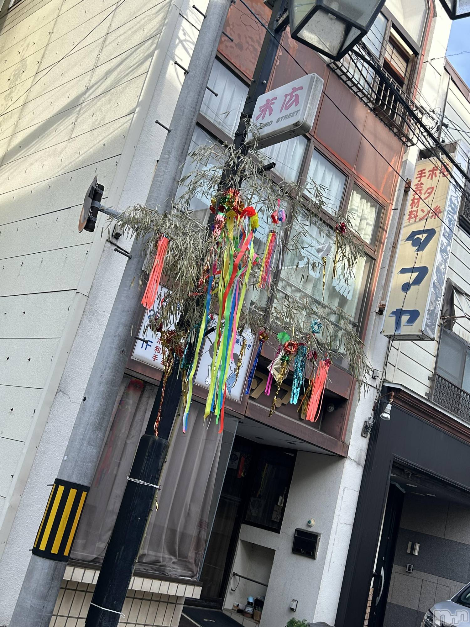 ��ˬ����Х��顦����֥���� �ץ���� ��ˬ(����� �ץ���� ����) ��2024ǯ7��8���̥�֥�����🎋✩.*�����