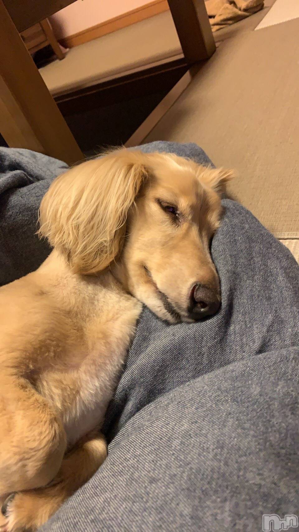 ��ˬ����Х��顦����֥���� �ץ���� ��ˬ(����� �ץ���� ����) ��2024ǯ8��16���̥�֥�����🐶ྀི🐶ྀི🐶ྀི��