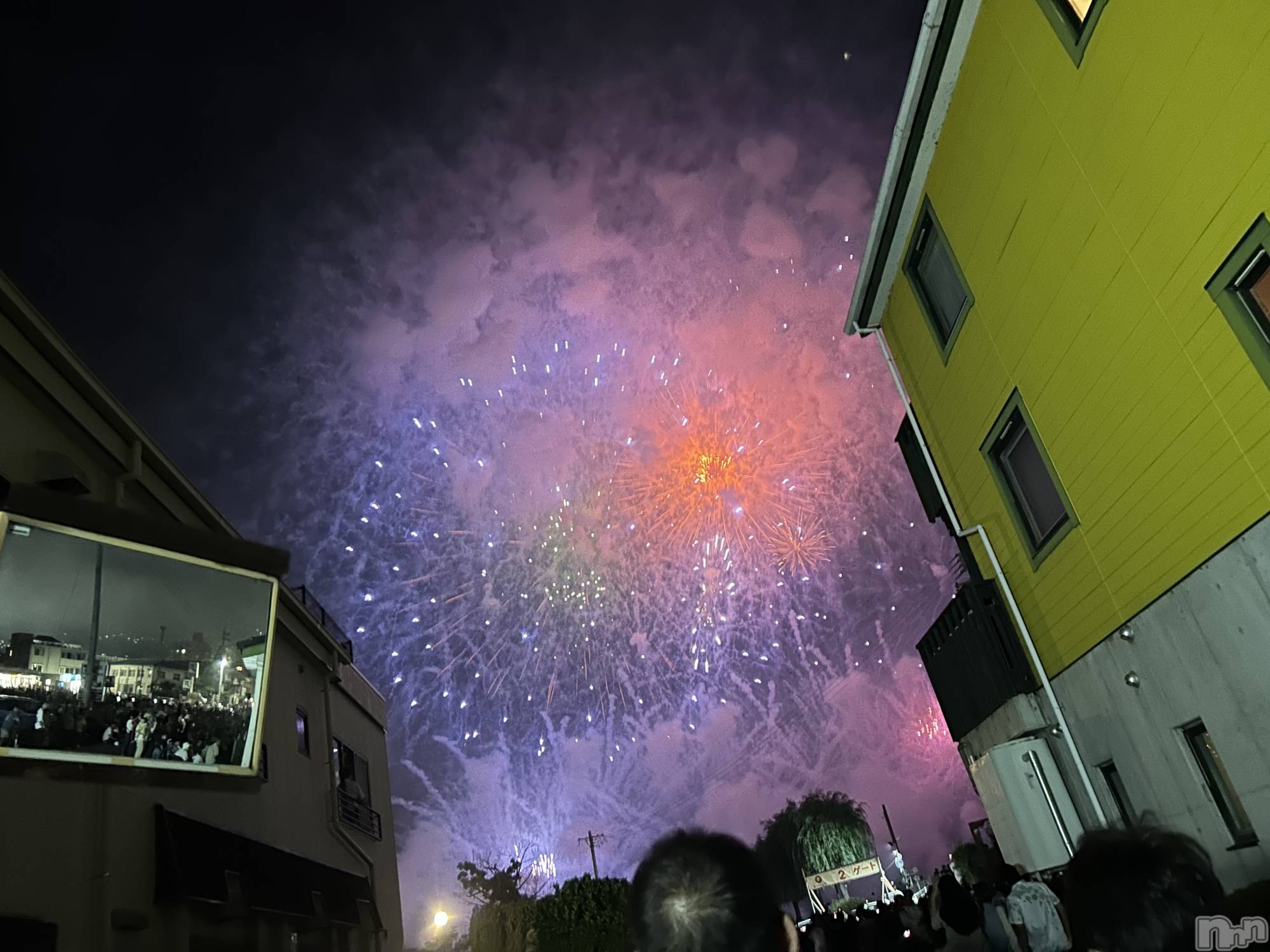 ��ˬ����Х��顦����֥���� �ץ���� ��ˬ(����� �ץ���� ����) ��2024ǯ8��16���̥�֥�����😷��