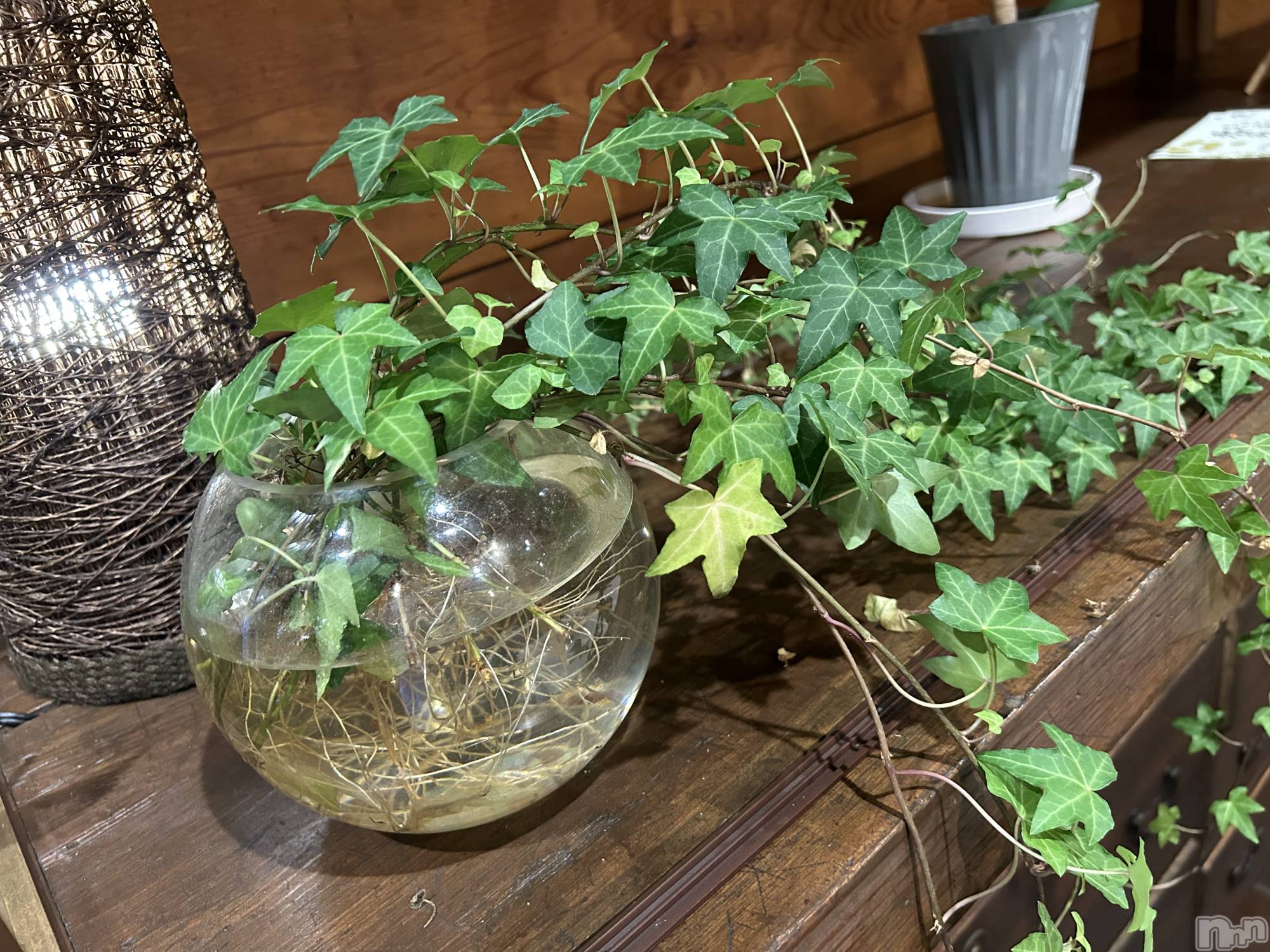 ��ˬ����Х��顦����֥���� �ץ���� ��ˬ(����� �ץ���� ����) ��2024ǯ8��17���̥�֥����֤��䤹�ߡ�