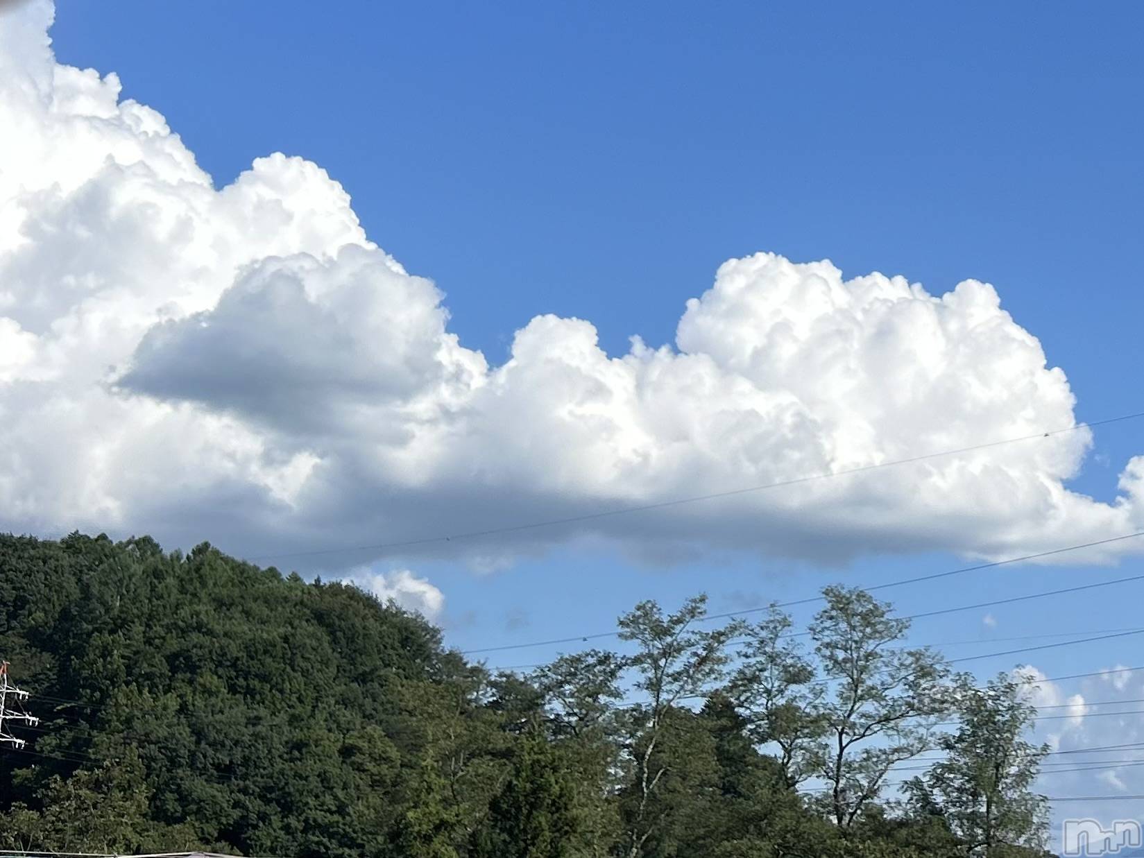 ��ˬ����Х��顦����֥���� �ץ���� ��ˬ(����� �ץ���� ����) ��2024ǯ8��23���̥�֥�����8��23�� 20��03ʬ�Υ֥�����