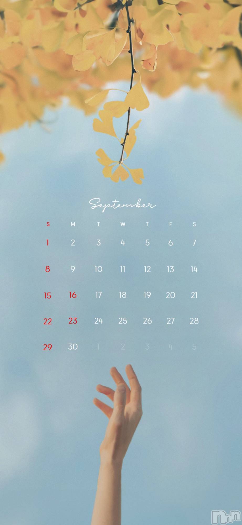 ��ˬ����Х��顦����֥���� �ץ���� ��ˬ(����� �ץ���� ����) ��2024ǯ9��3���̥�֥�����9��Ǥ��͡���