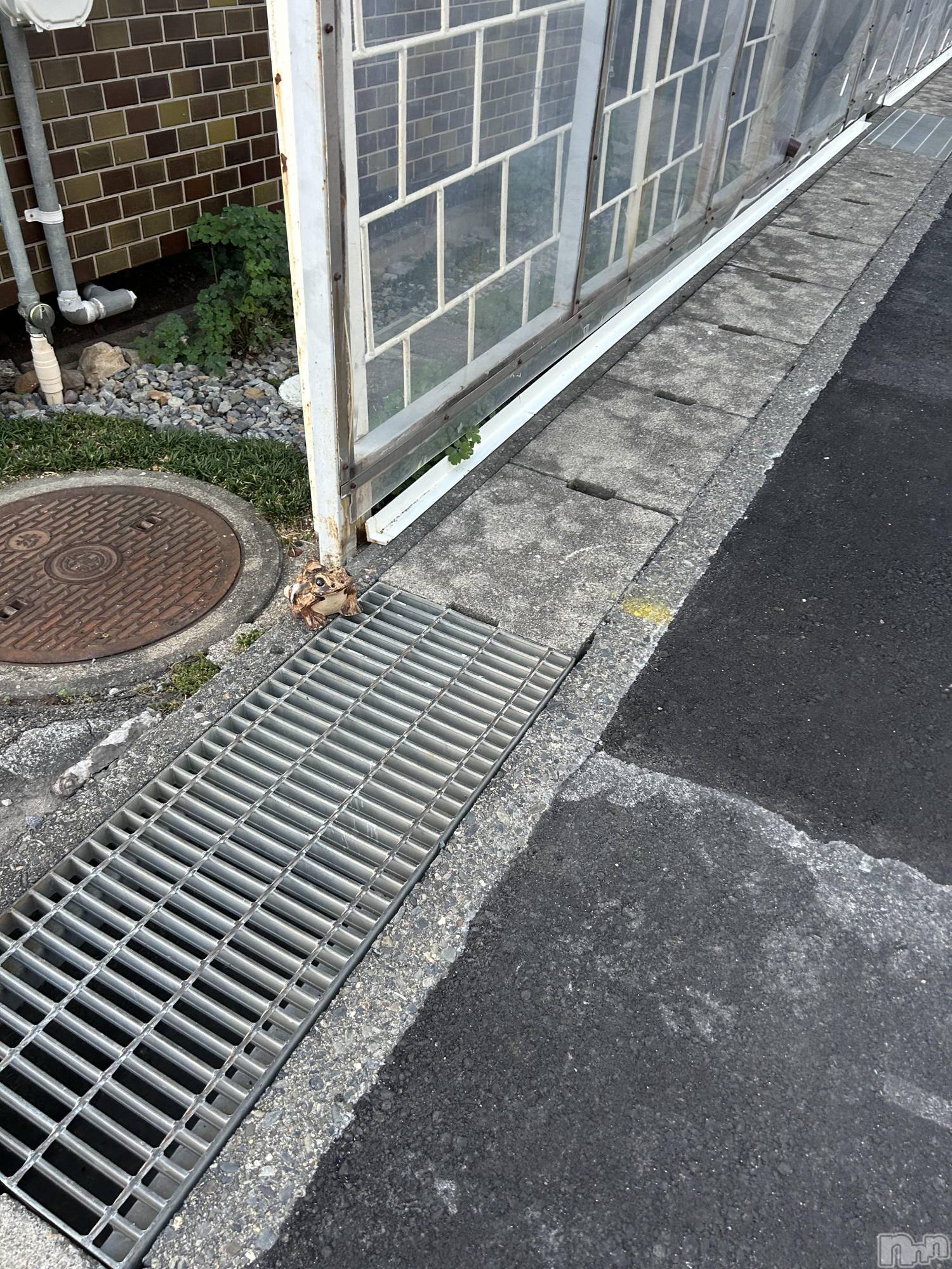 ��ˬ����Х��顦����֥���� �ץ���� ��ˬ(����� �ץ���� ����) ��2024ǯ9��26���̥�֥�����🐸³₃��