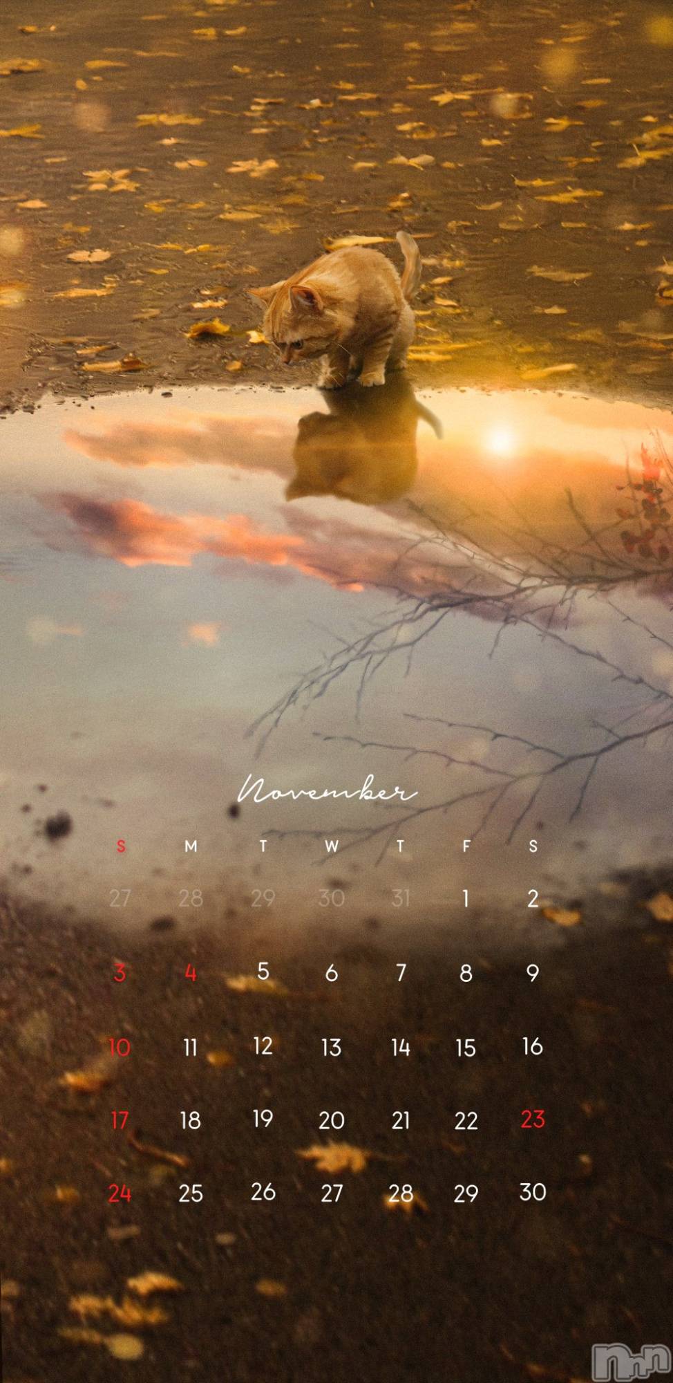 ��ˬ����Х��顦����֥���� �ץ���� ��ˬ(����� �ץ���� ����) ��2024ǯ11��1���̥�֥�����ℕ𝕠𝕧𝕖𝕞𝕓𝕖𝕣��